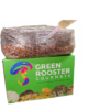 4lb All-In-One Mushroom Grow Bag - Image 3