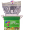 4lb All-In-One Mushroom Grow Bag - Image 2